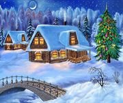 pic for Christmas house 